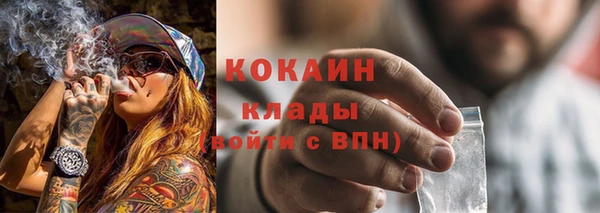 сатива Аркадак