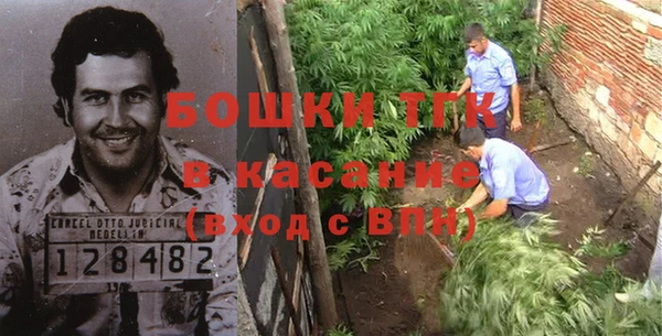 сатива Аркадак