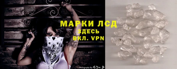 сатива Аркадак