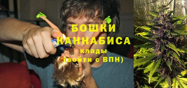 сатива Аркадак