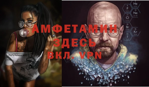 сатива Аркадак
