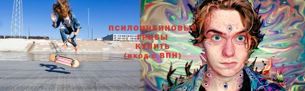 сатива Аркадак