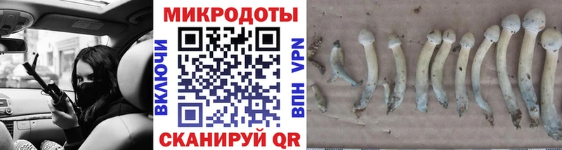 mega как войти даркнет сайт Белорецк Галлюциногенные грибы Magic Shrooms