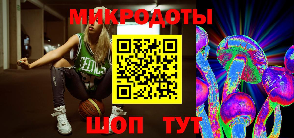 Псилоцибиновые грибы Psilocybine cubensis Белорецк