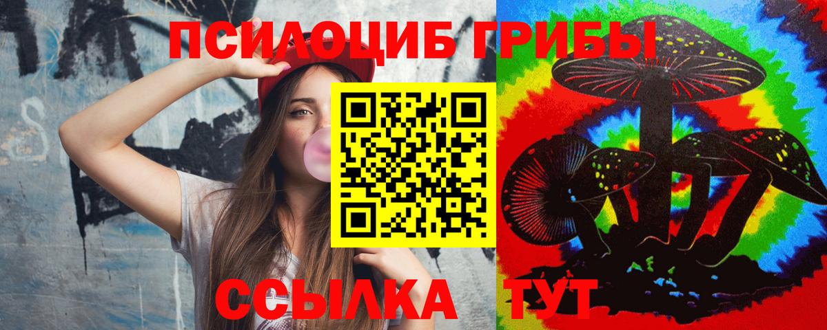 Белорецк  Галлюциногенные грибы прущие грибы  Вход с VPN 